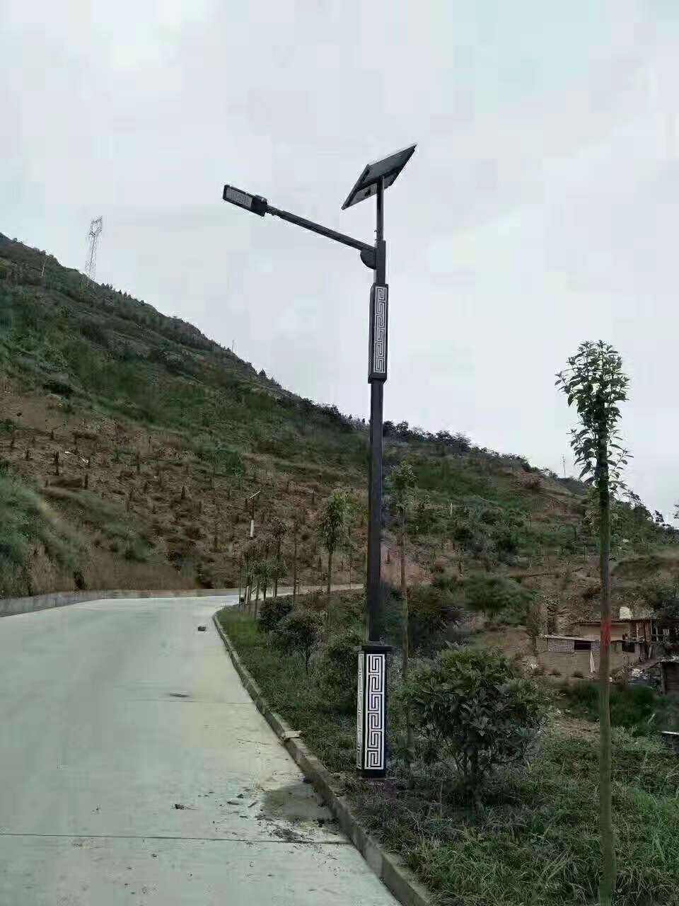 阜城县仿古太阳能路灯